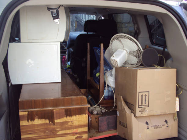 Best Retail Junk Removal  in Elbow Lake, MN